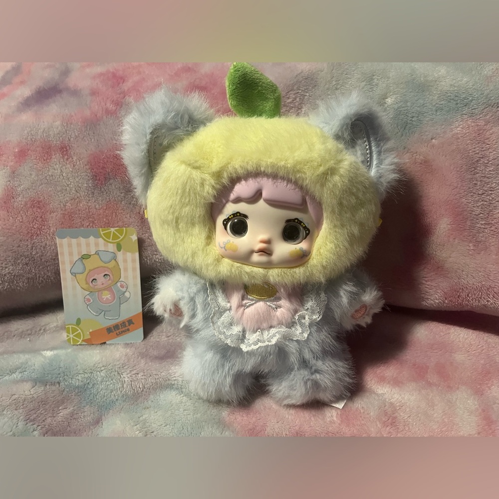NOMMI - Lemon Cat